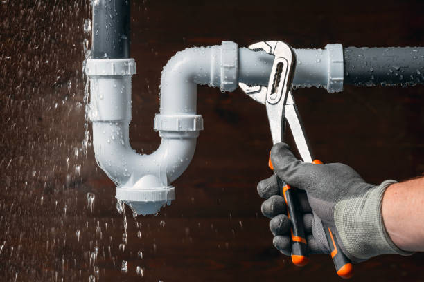 Professional Plumbing technician working in Cortland, IL